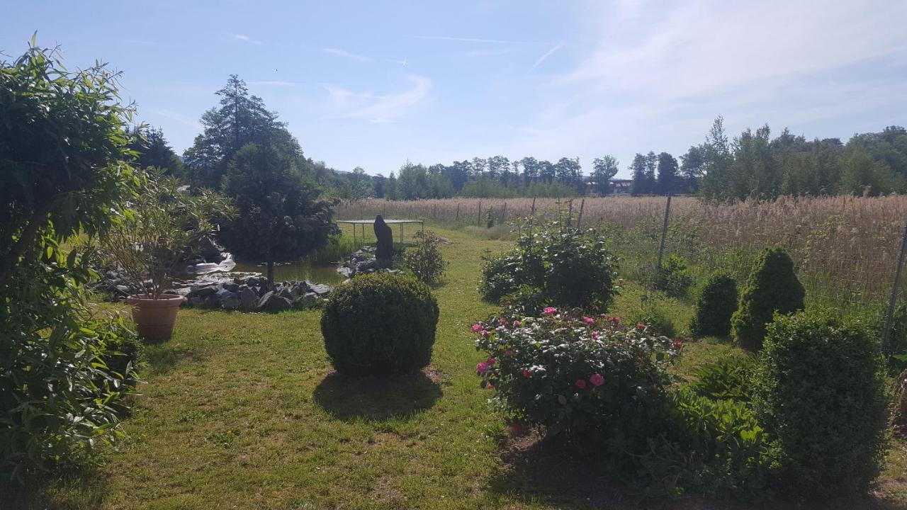 Ferienhaus Am Teich Rottleberode Dış mekan fotoğraf
