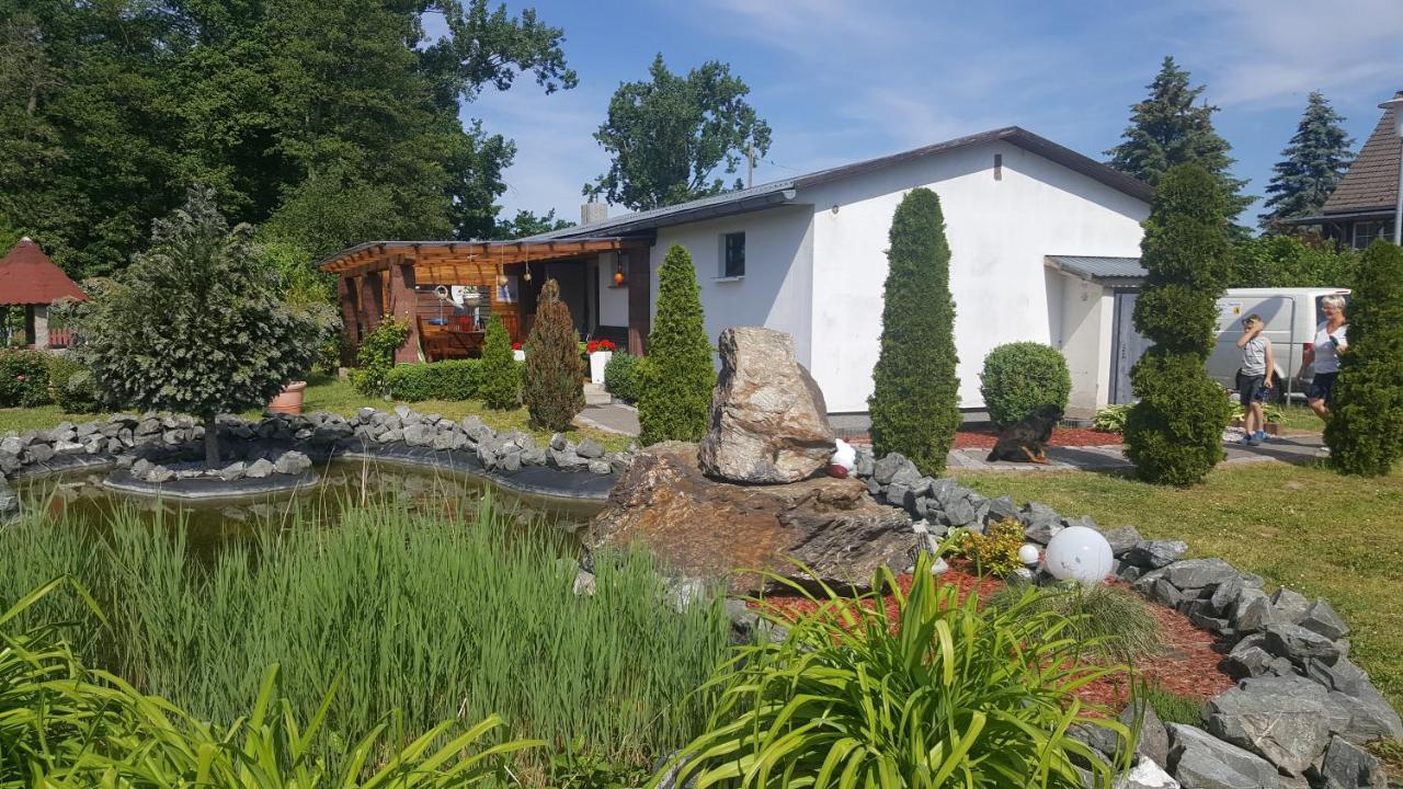 Ferienhaus Am Teich Rottleberode Dış mekan fotoğraf
