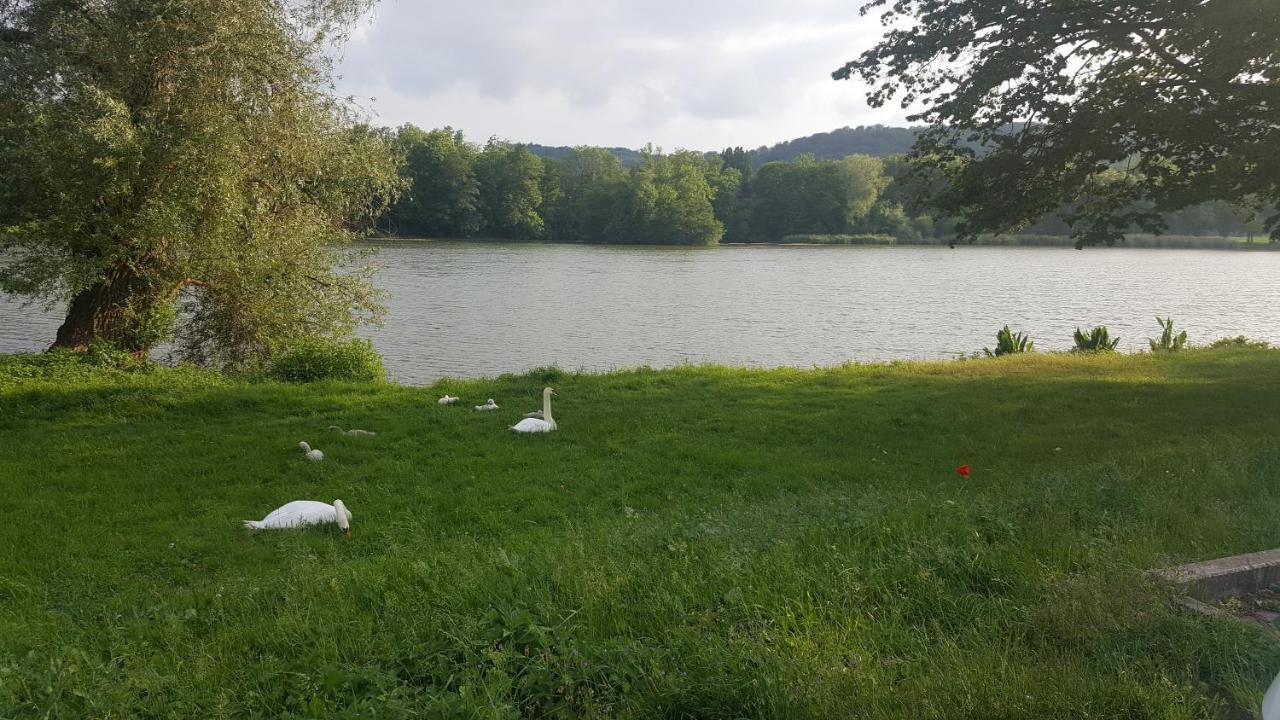 Ferienhaus Am Teich Rottleberode Dış mekan fotoğraf